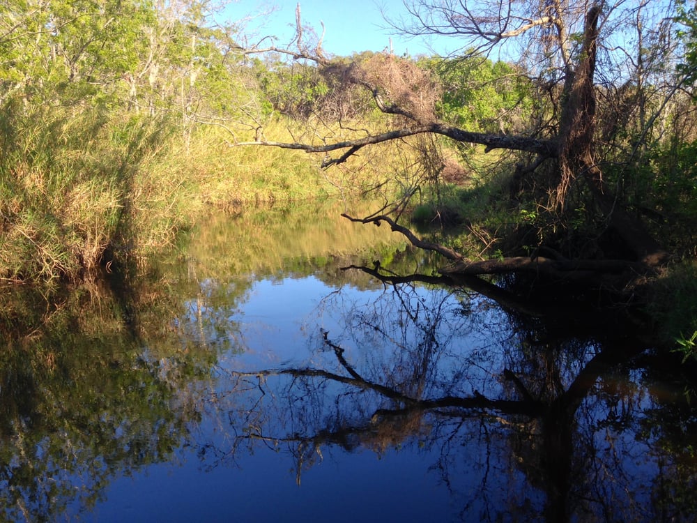 St. Sebastian River Preserve State Park 38 Photos Parks 1000
