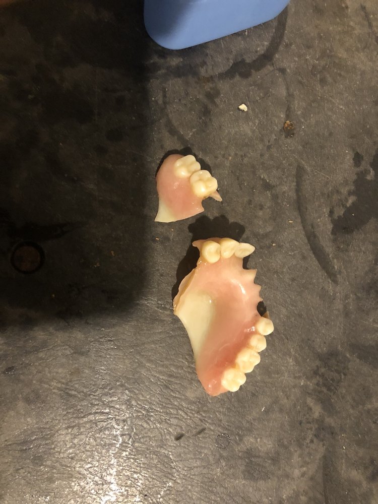 image of business Dental Walk In Clinic of Tampa Bay