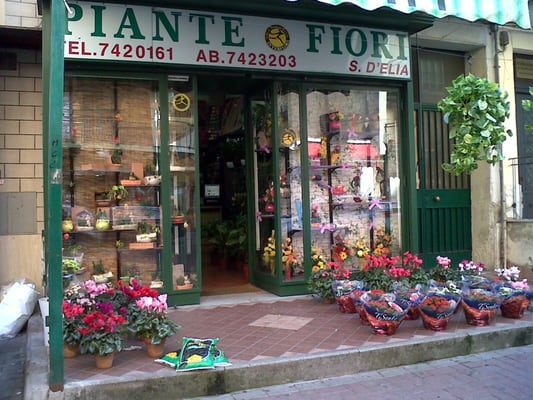 Piante e Fiori - Florists - Corso Europa 70, Marano di ...