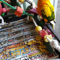 the bird store near me