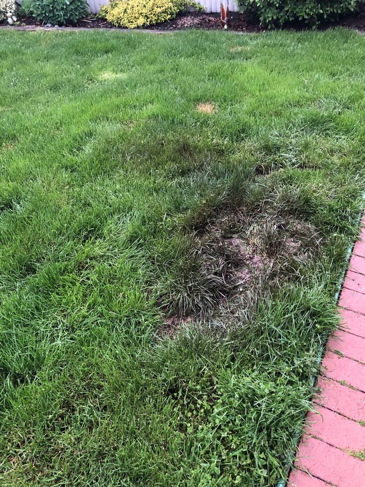 Green Irrigation