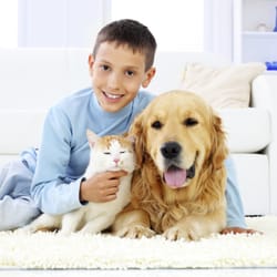 Carpet Cleaning Martinez Ca 100 Satisfaction 5 Star Rating On East Bay Xtreme Clean Your One Call To It All