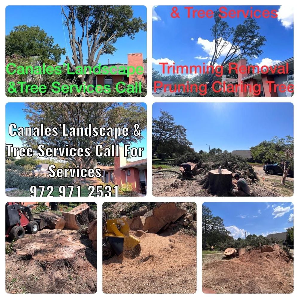 Jose‘s Tree Services