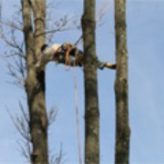 Monster Tree Service Of Minneapolis Services Eden Prairie Photo Of Monster Tree Service Minneapolis Eden Prairie Mn United States