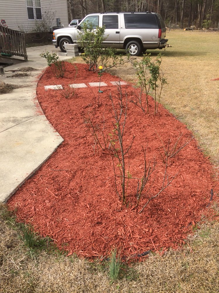 Buddy's Lawn Service