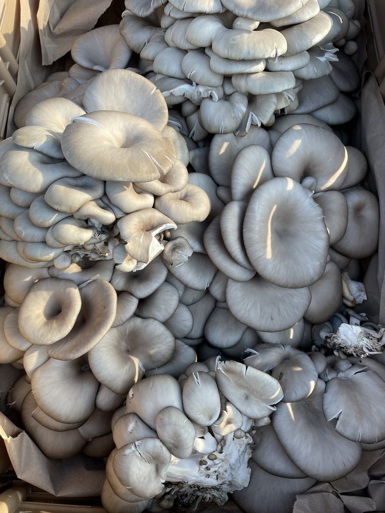 Davidson Farmers' Market