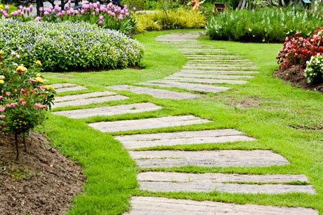 Valencia S Landscaping Maple Valley Wa
