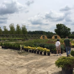 Auburn Oaks Whole Nursery 30 Photos Home Garden 8048 E Photo Of Auburn Oaks Whole Nursery Fenton Mi United States
