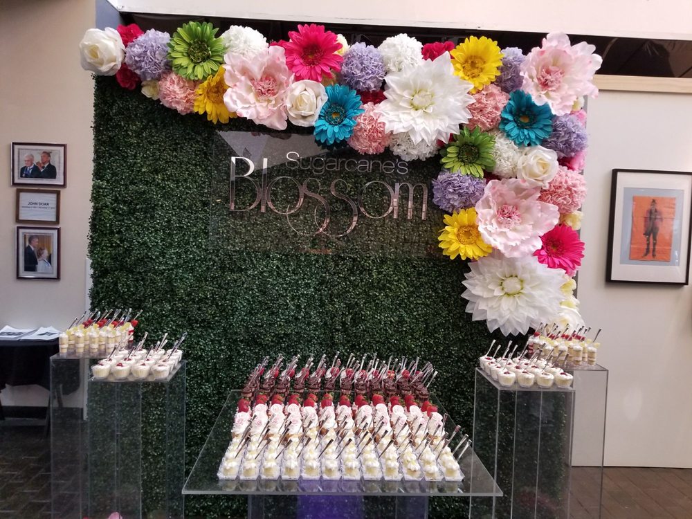 BedStuy Restoration Plaza 20 Photos Community Service/NonProfit