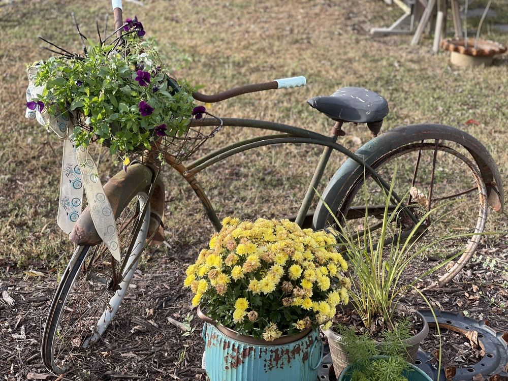 Harvest Moon Trading