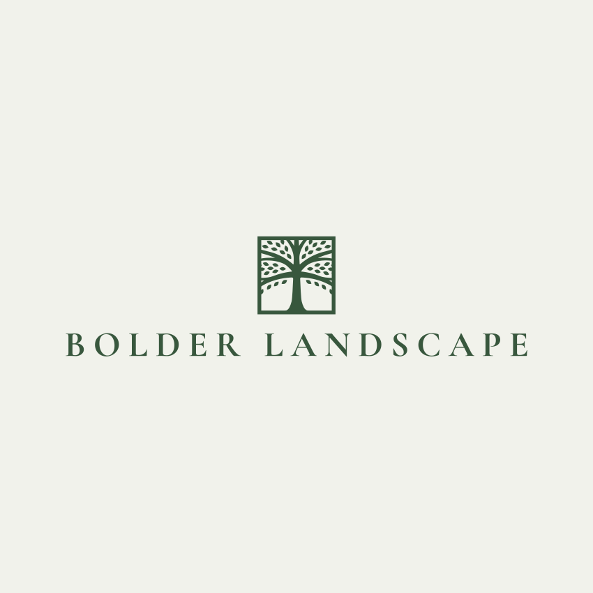 Bolder Landscape