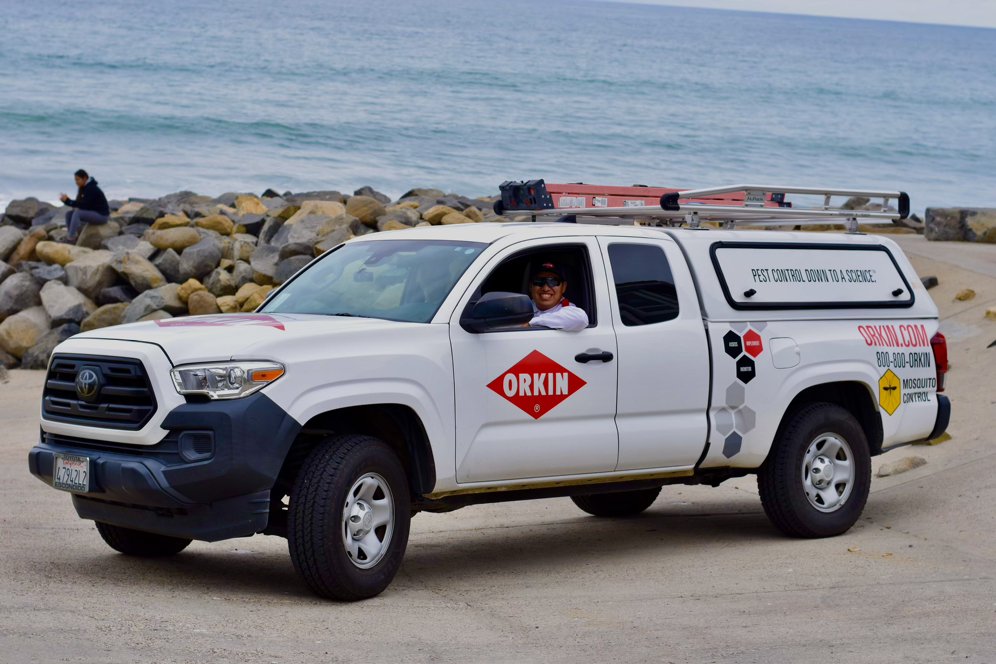 Orkin