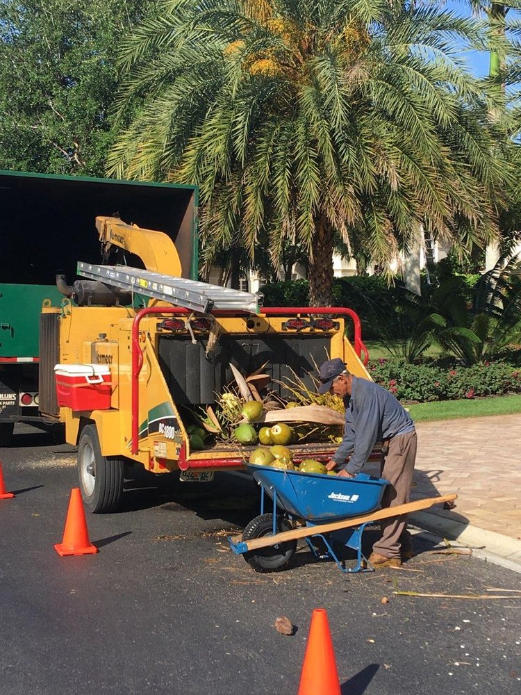 Anchor Tree Services