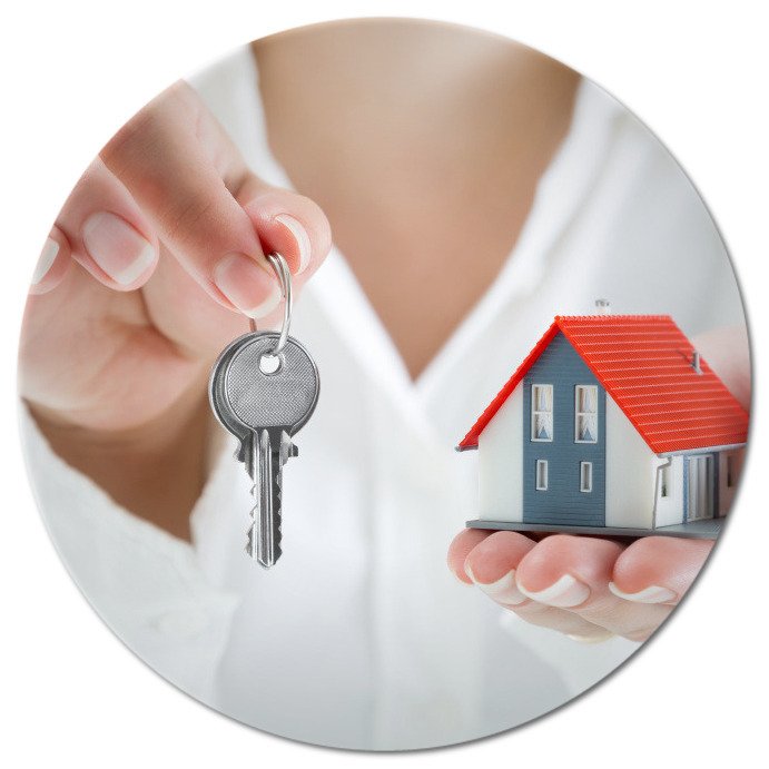 image of business Z M Carpet and Hardwood Floor