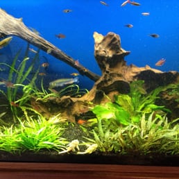 Pet and aquatic warehouse coupons