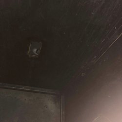 has analogues? free midget fucking video turns! improbable!
