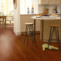 Carpetsplus Colortile By Trotter Flooring 1622 118 Stanley Rd