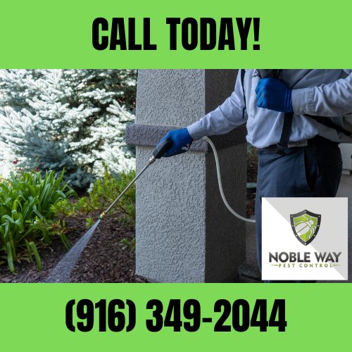The Noble Way Pest Control