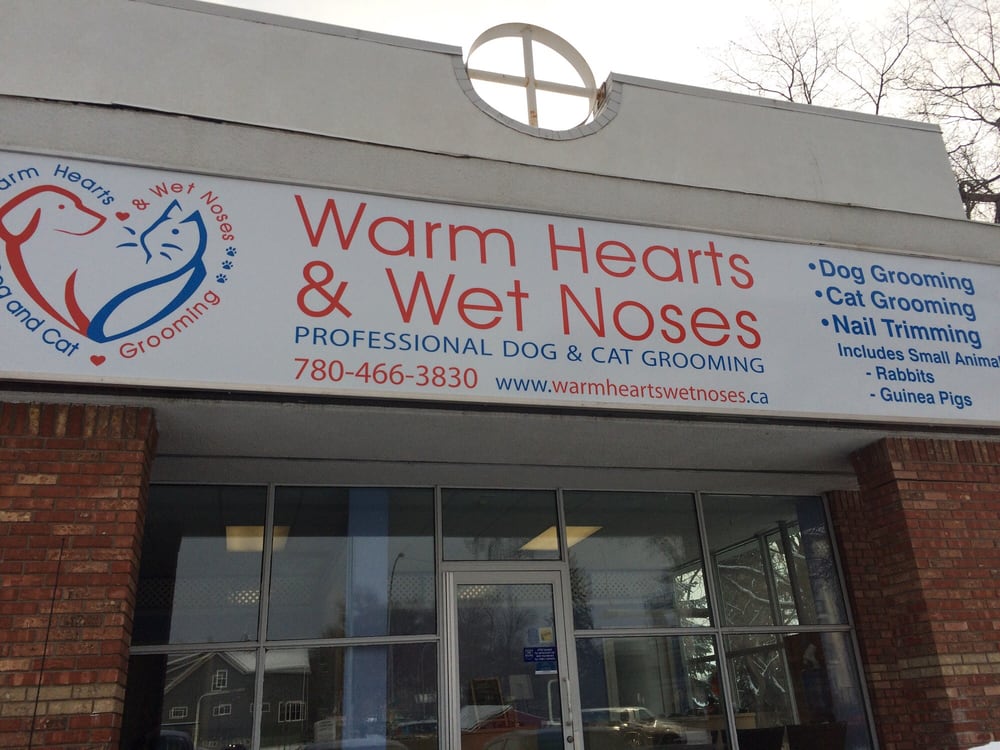 Warm Hearts & Wet Noses Dog Grooming Pet Groomers 8107 99 St NW