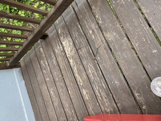 Lion Painting and Drywall Services