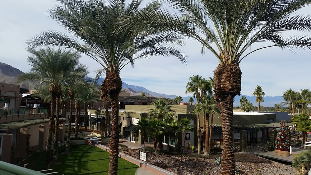 homes for sale near el paseo palm desert ca