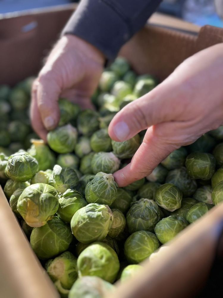 Danville Farmers' Market