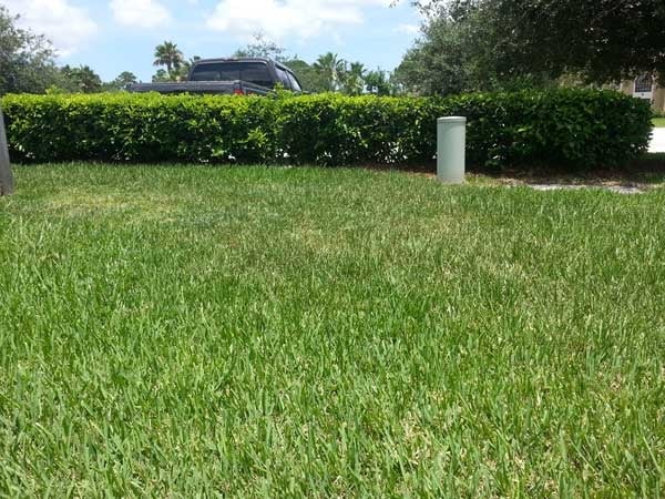 Sunrise Lawn & Garden Renovation