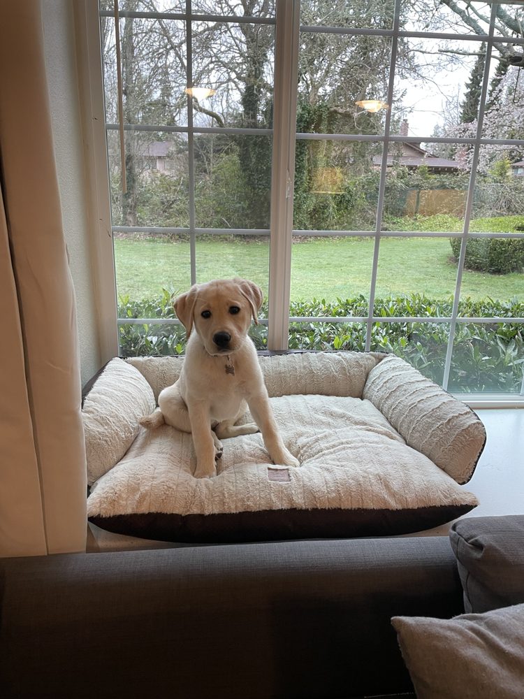 Sunset Gardens Condominiums