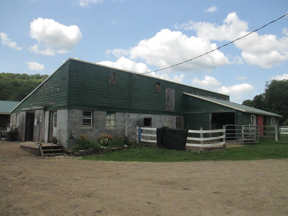 Country Meadows Equine 13 Photos Horseback Riding 1027 E Brook Rd