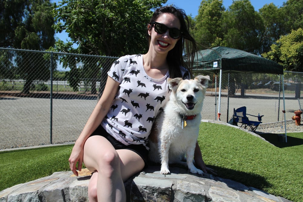 Country Kennels 82 Photos & 74 Reviews Pet Sitting 25817