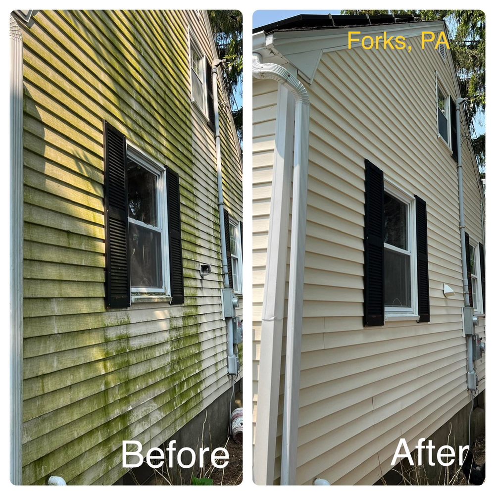 ProClean Pressure Washing