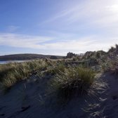 Doran Beach 356 Photos 99 Reviews Parks 201 Rd Photo Of Doran Beach Bodega Bay Ca United States Everything About The