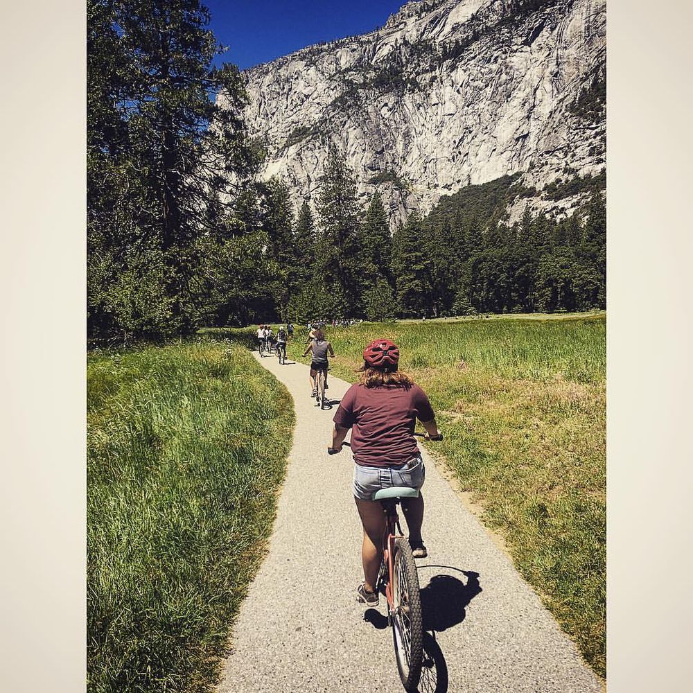 arc Adventure 21 Photos Rock Climbing 370 Amapola Ave, Torrance