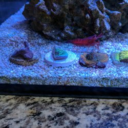 california aquariums closed 32