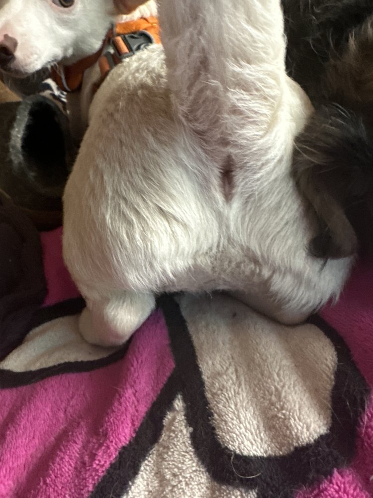 24/7 Locksmith Solutions