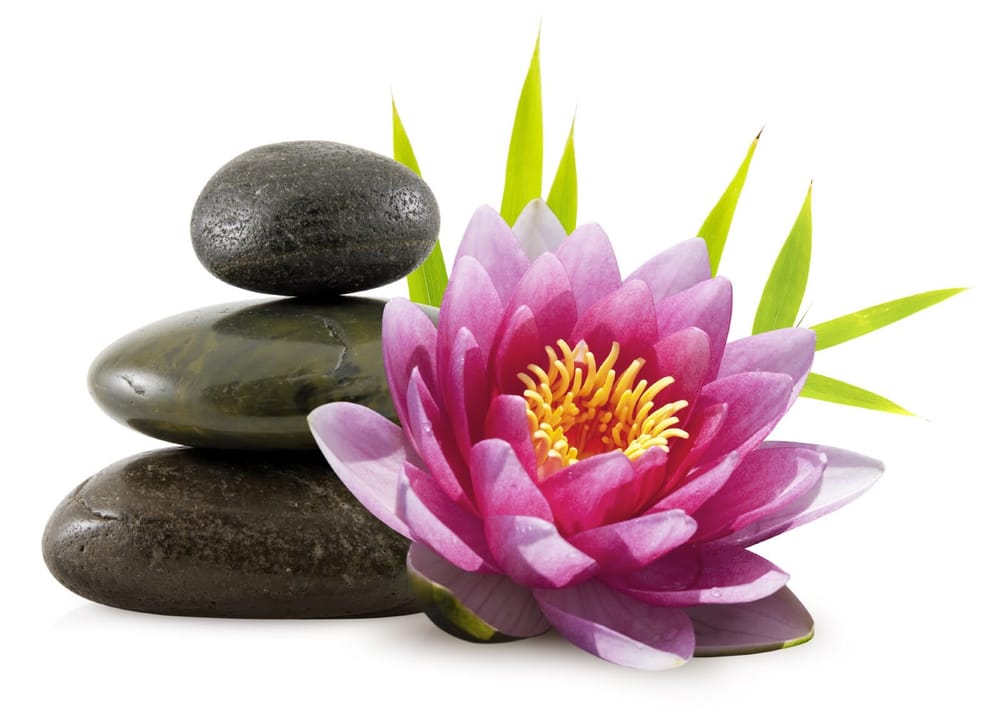 massage lexington ma massage lexington ma