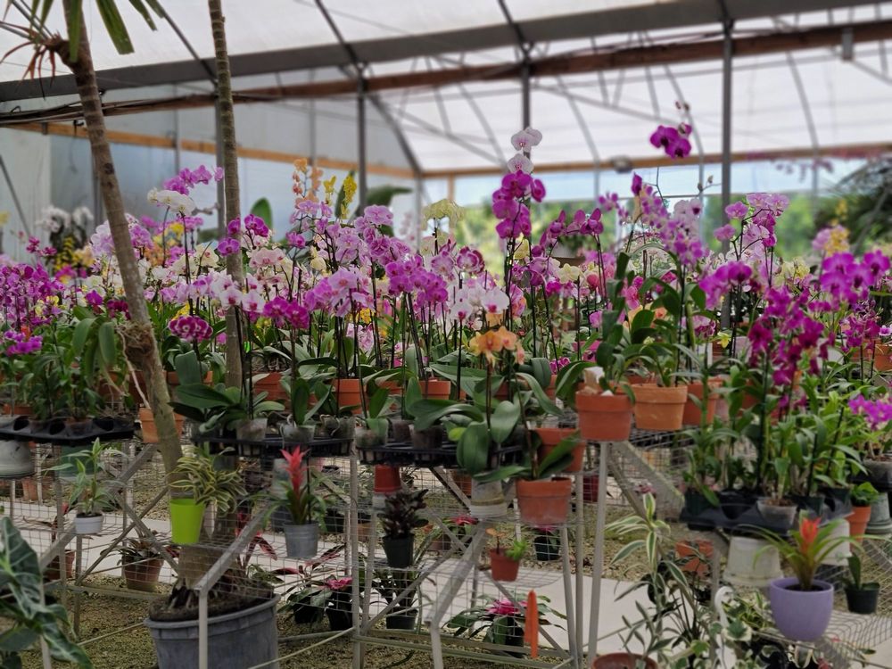 A Heavenly Garden