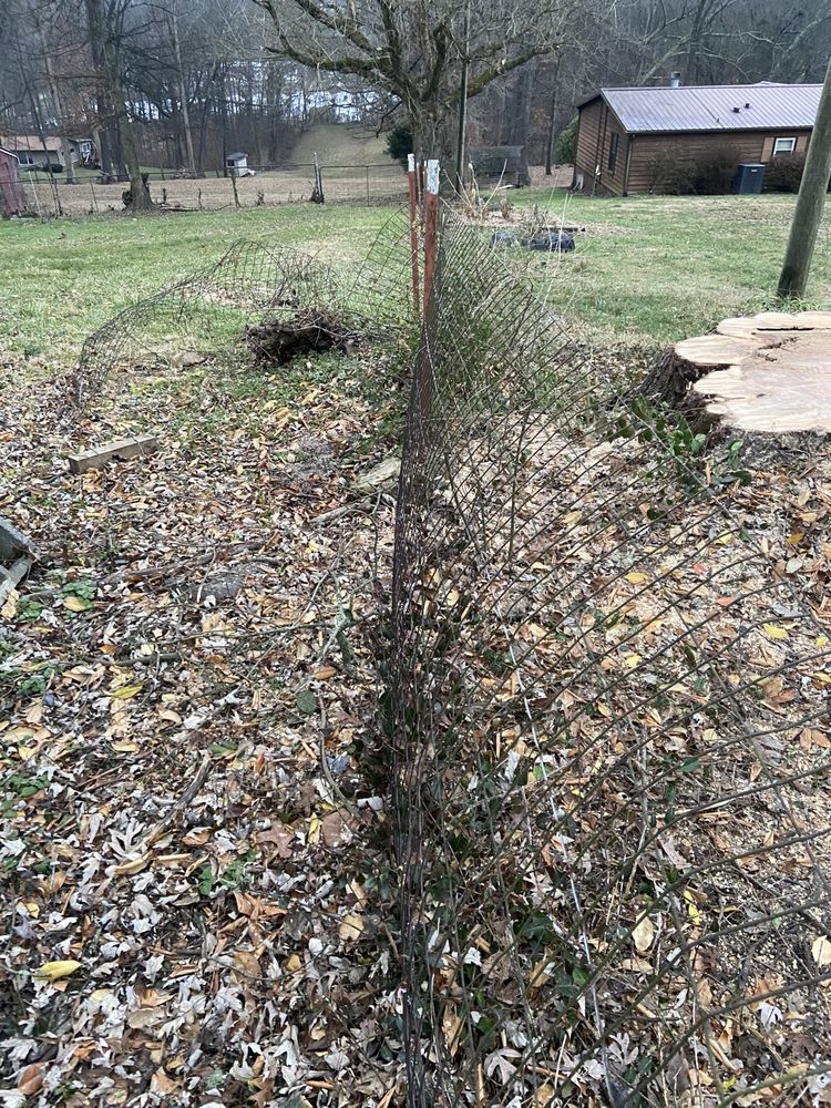 Steve's Tree Service