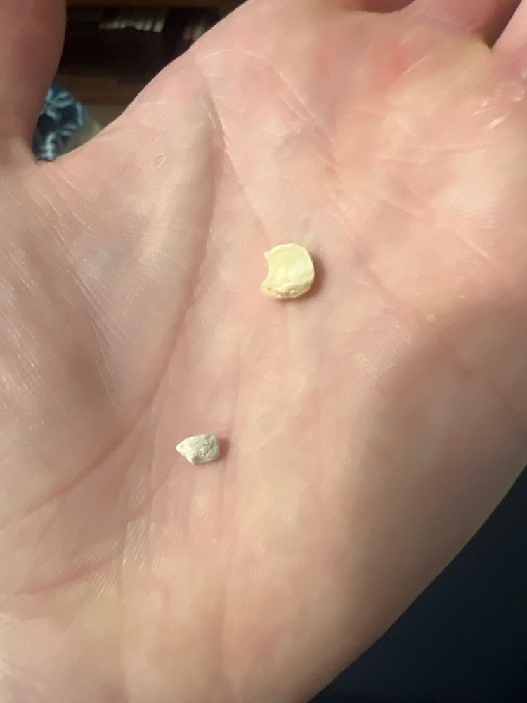 image of business Eastman Dental Center