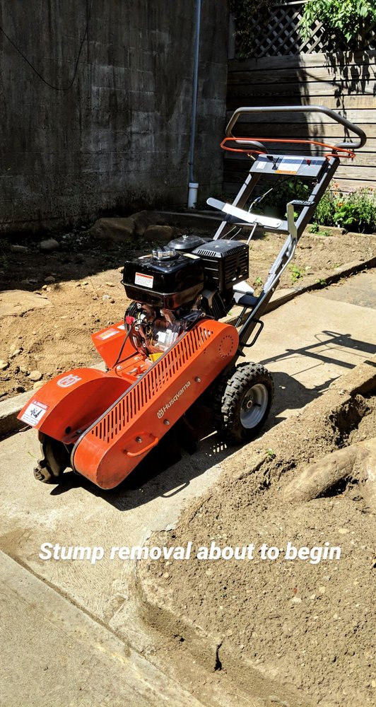 J&V Landscape Design & Lawncare
