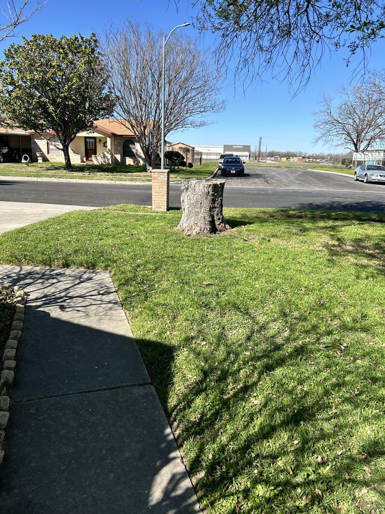 Espinoza & Sons Mowing Services