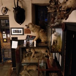 The Drovers Inn >> The Drovers Inn 65 Photos 28 Reviews Pubs Inverarnan The Drovers Inn >> The Drovers Inn 65 Photos 28 Reviews Pubs Inverarnan