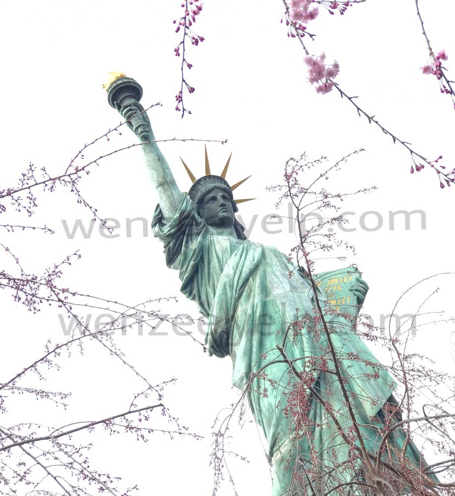 Wish There Were More Cherry Blossoms To Frame Around The Statue Of 46 Photos For Statue Of Liberty Odaiba