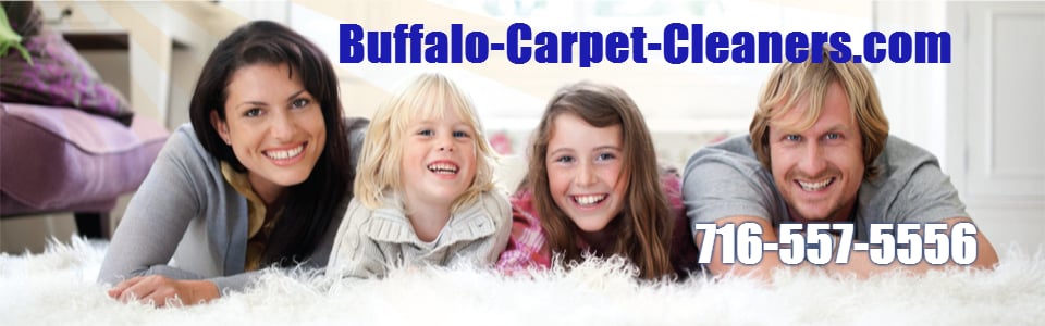 image of business Buffalo Carpet Cleaners