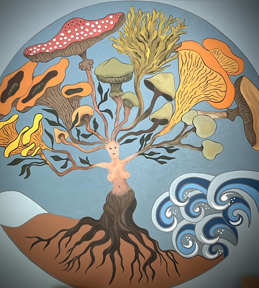 Mushrooms on Main