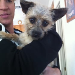 animal rescue in oakley ca animal rescue in oakley ca