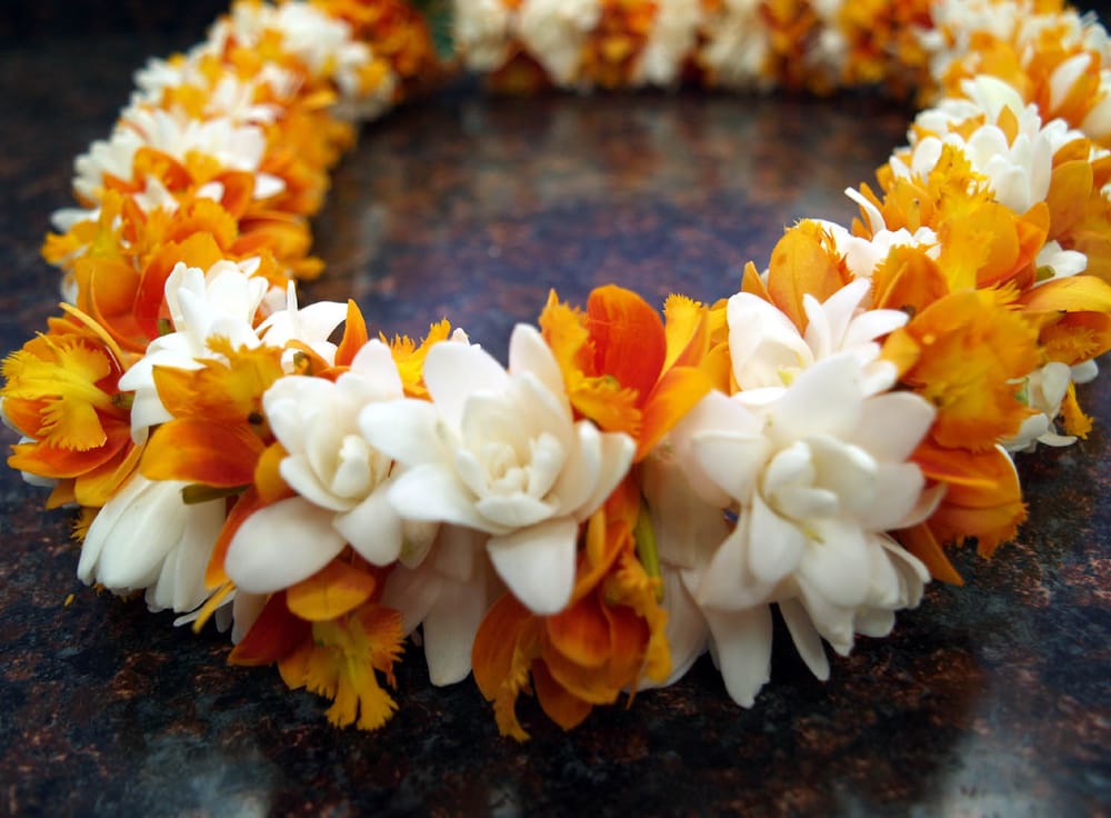 Epi Orchid with Tuberose Lei (Double) Yelp