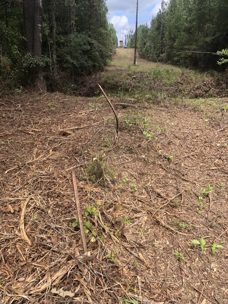 Lewis Tree Service, Inc.