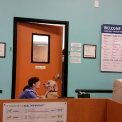 petsmart banfield ponce de leon