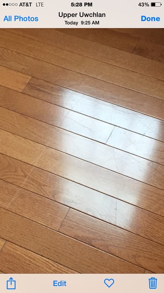 Naves Carpet Cleaning